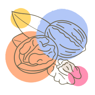 comiendo-se-aprende-nutricionista-cantabria-ico-white